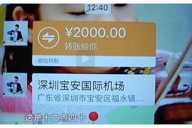 龙岩为什么选择专业追讨公司来处理您的债务纠纷？